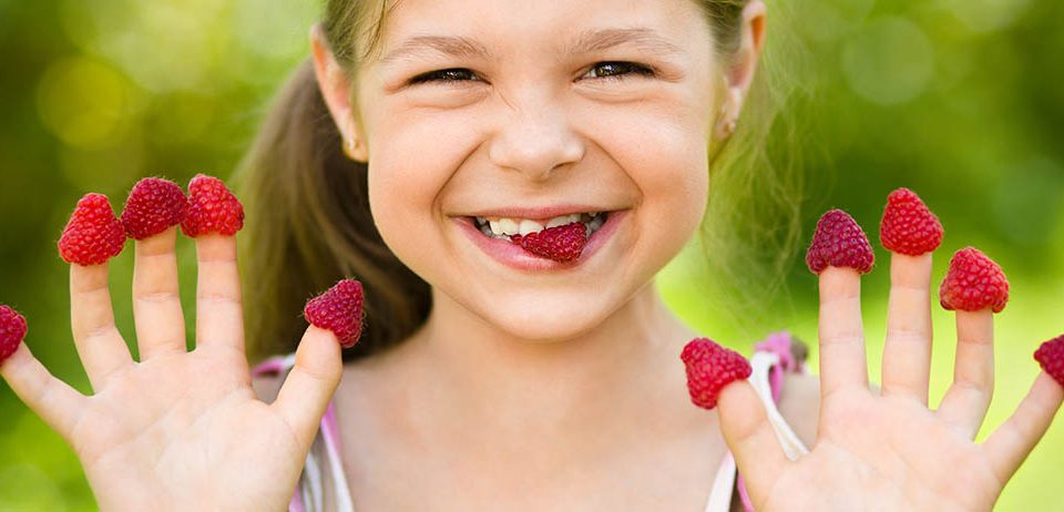 La salud que aportan los "berries"