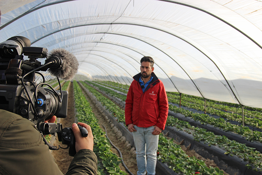 La agricultura y socia de Cuna de Platero Antonia Soriano, protagonista del programa de Canal Sur “Campechanos”