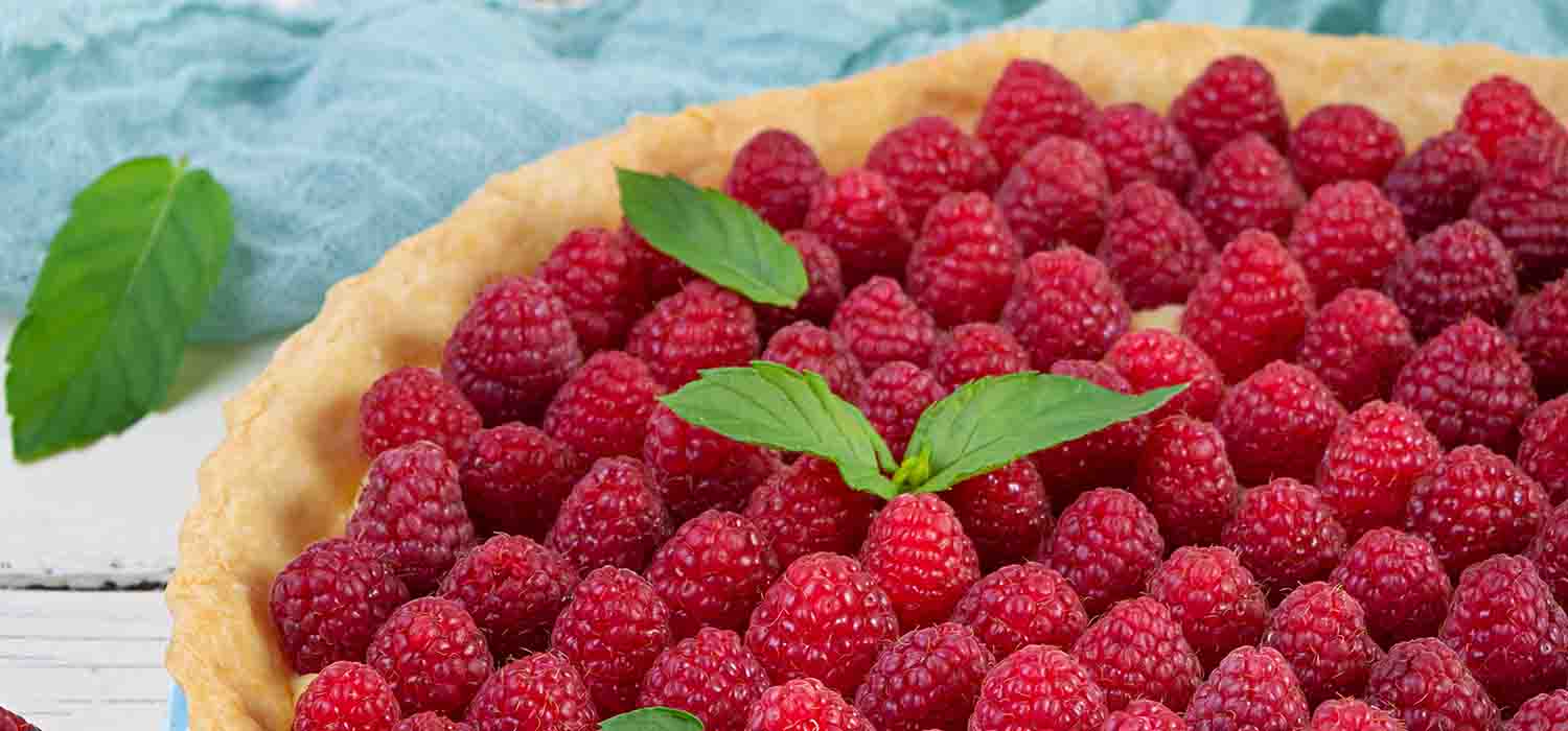 Woman handspaso a paso tarta de frambuesas: emplatado